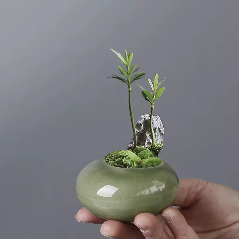 Mini pot de fleurs glacé effet craquelé