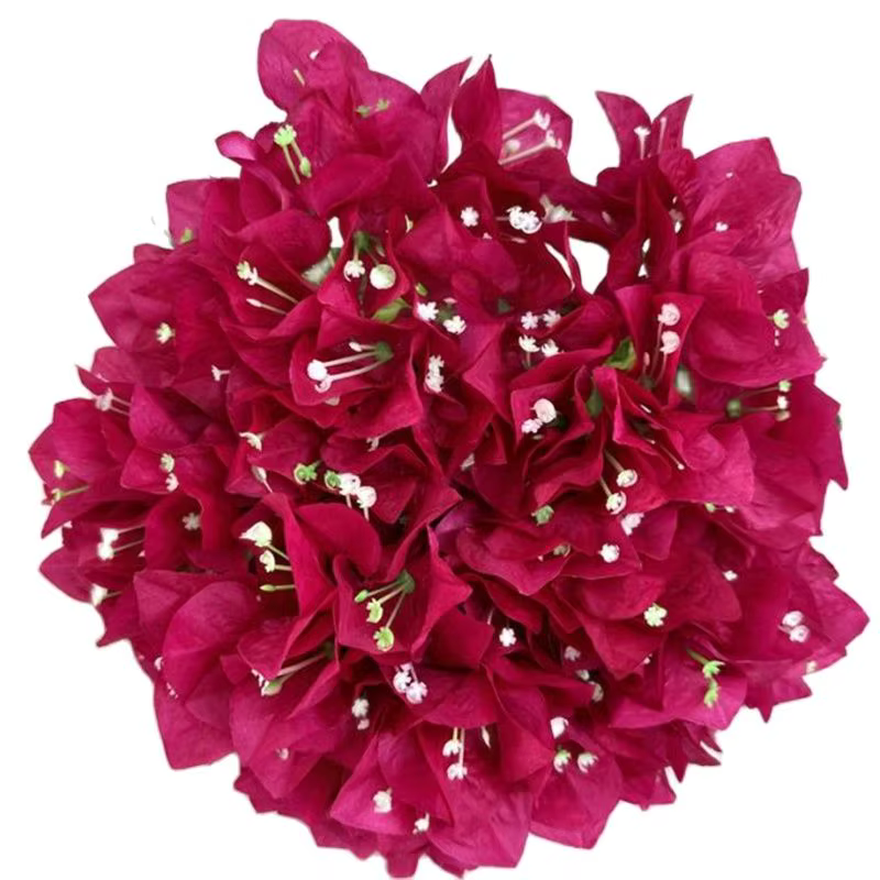 Bougainvillea artificielle Bouqut fleur 5 fourchettes