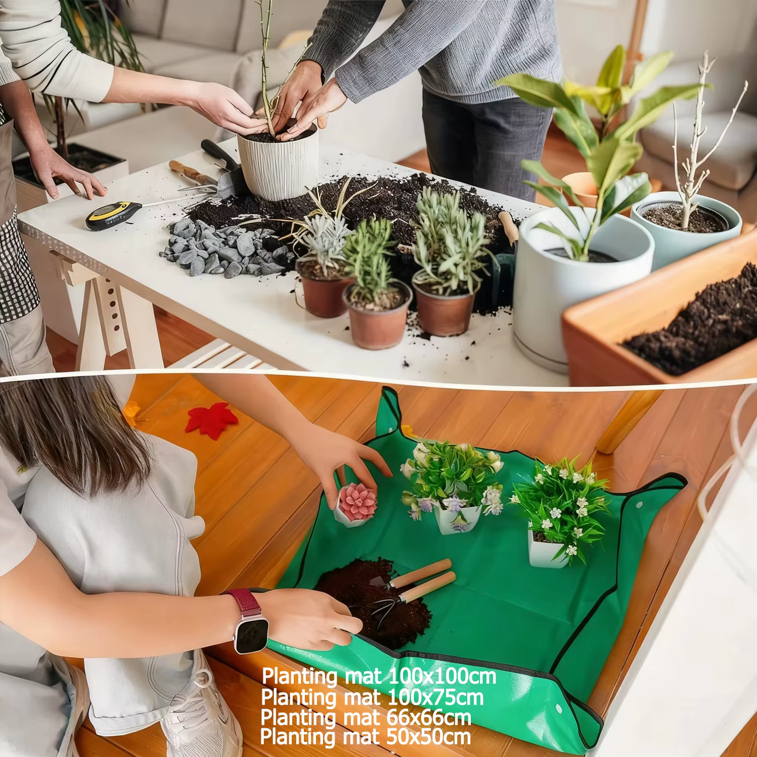 Accessoires pour plantes en pot