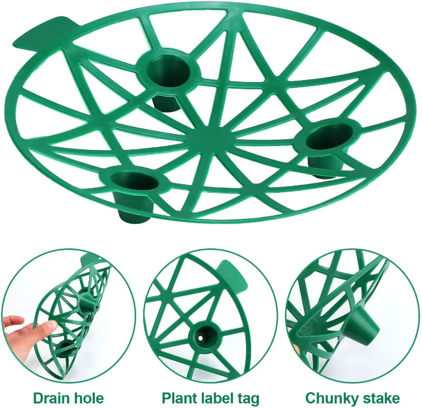 Supports de plantes pour melons