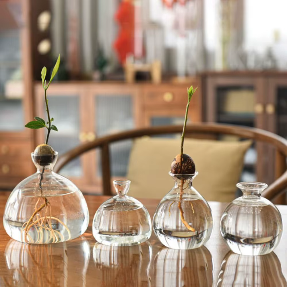 Kit de plantes en verre avec autocollants pour les amateurs de jardinage