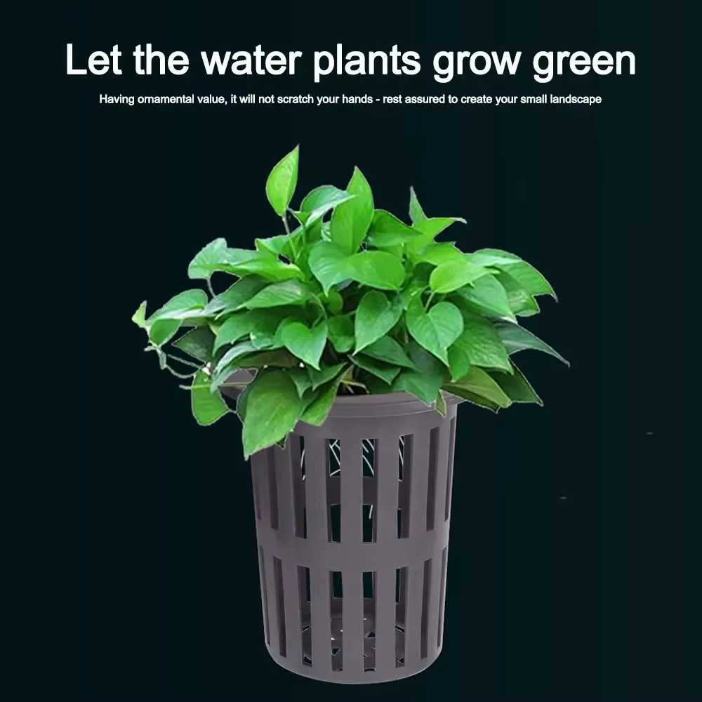 Mir de plantation hydroponique sans sol