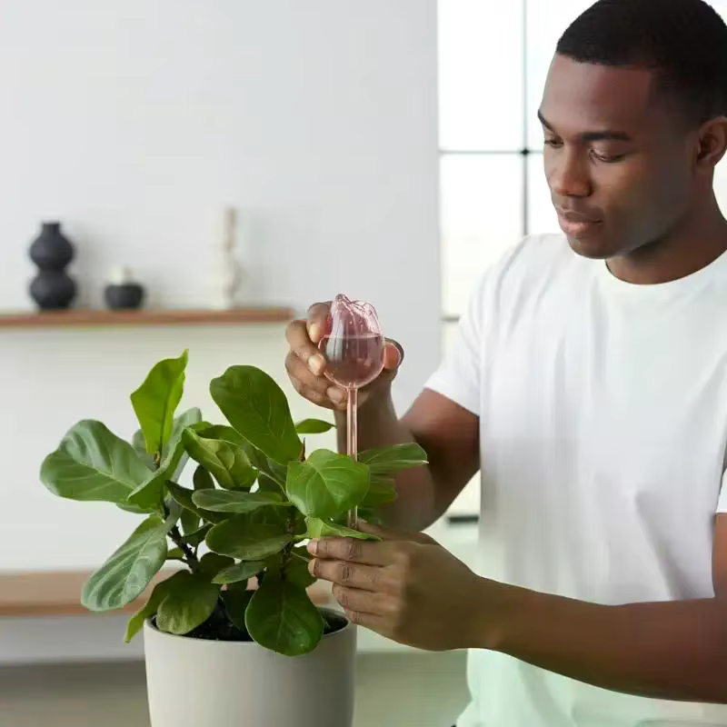 Boules d'arrosage automatiques pour plantes Tulip