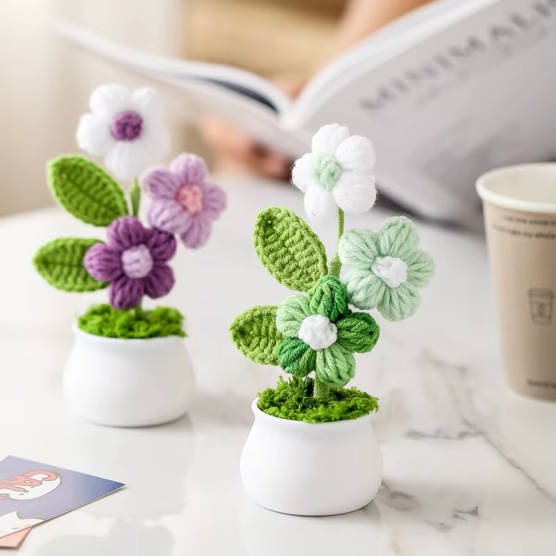 Plantes en pot au Crochet