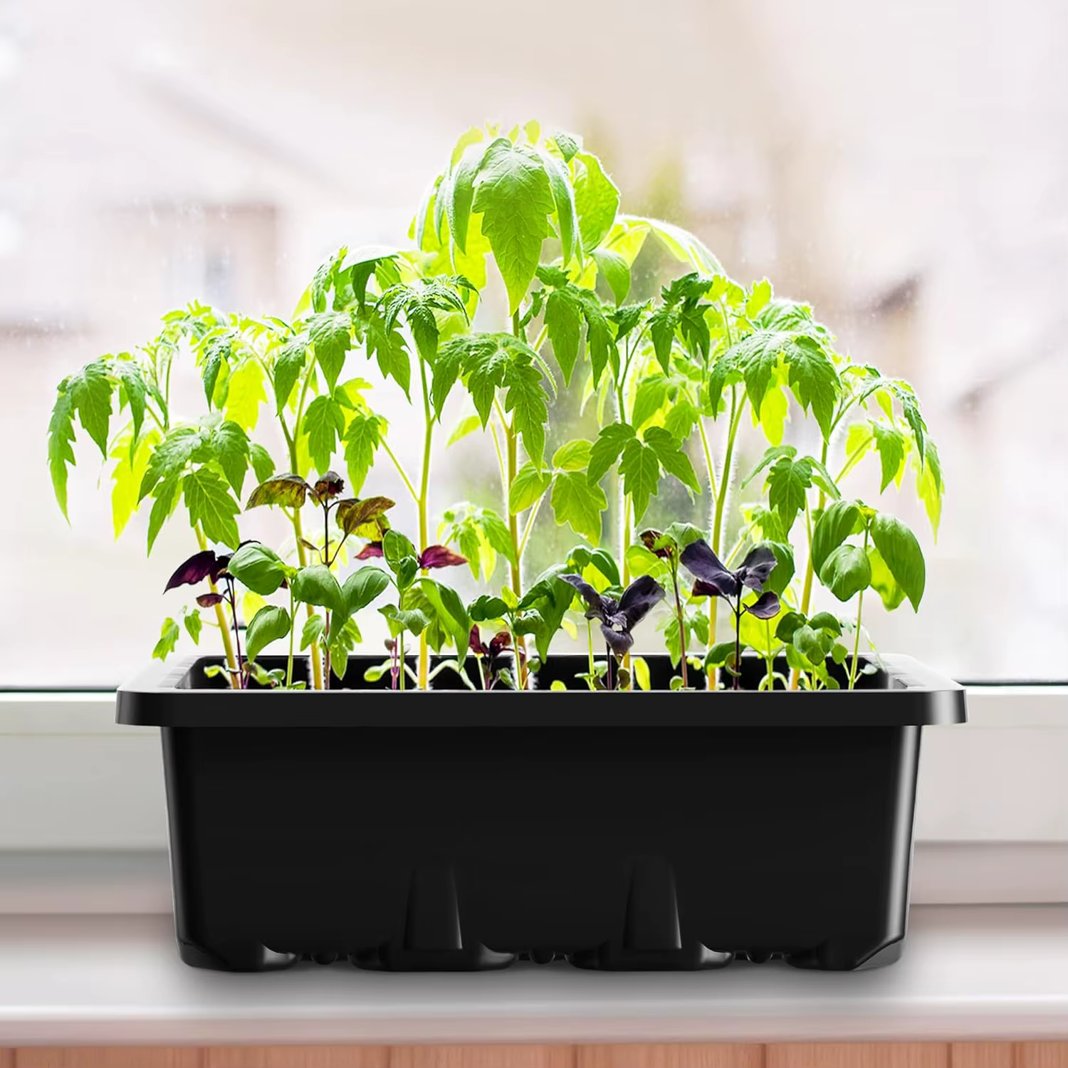 Plateau de démarrage de graines avec trou de Ventilation