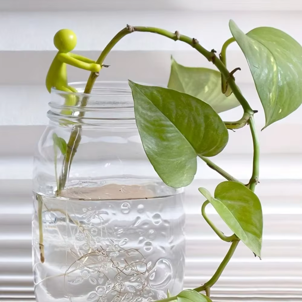 Buddy de propagation des plantes – Accessoires