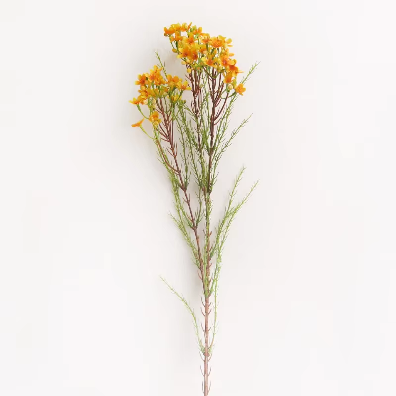 Fleurs Artificielles Chamelaucium Uncinatum