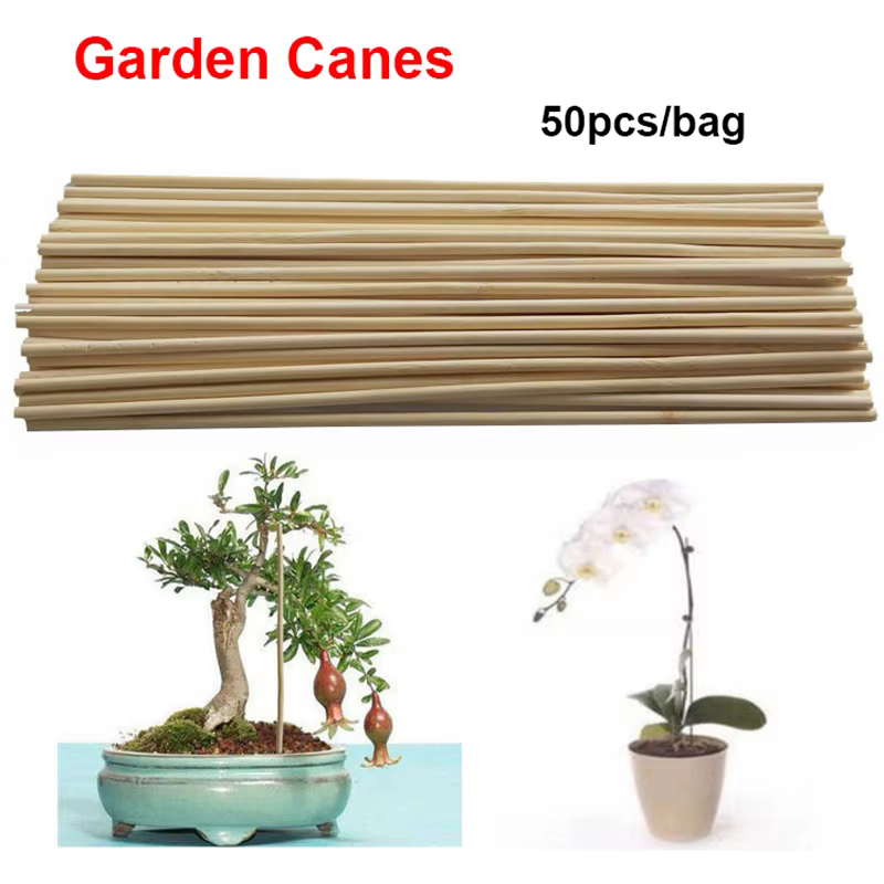 Lot de 50 bâtons de support en bambou pour plantes, pour fleurs et canes