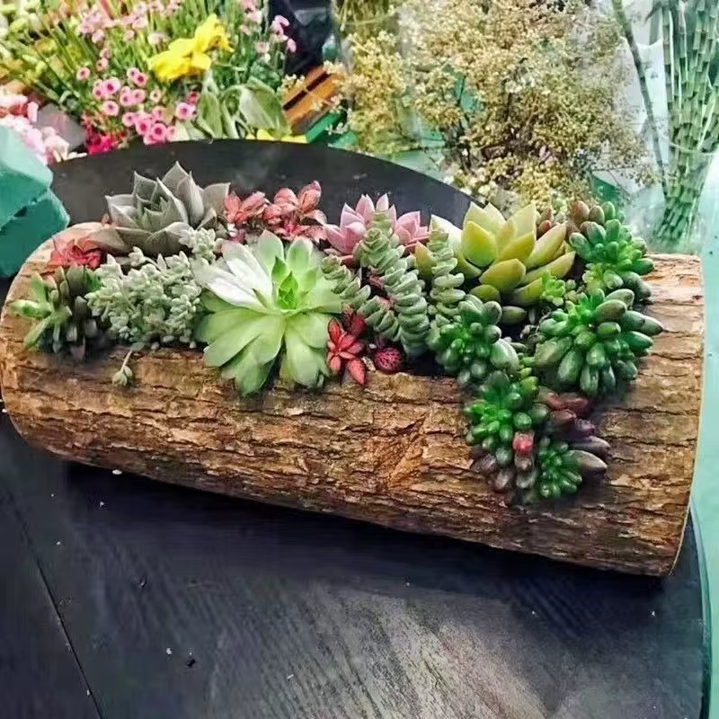 Jardinière succulente en bois – Boîte à fleurs murale rustique en bois massif