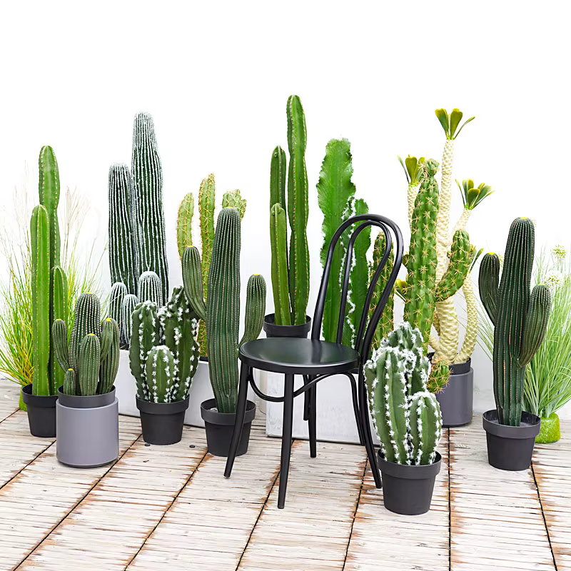 Plante succulente verte artificielle au toucher réaliste avec pot