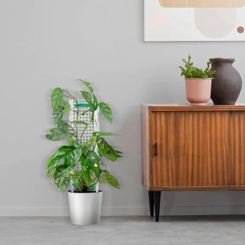 Support en plastique pour plantes vertes