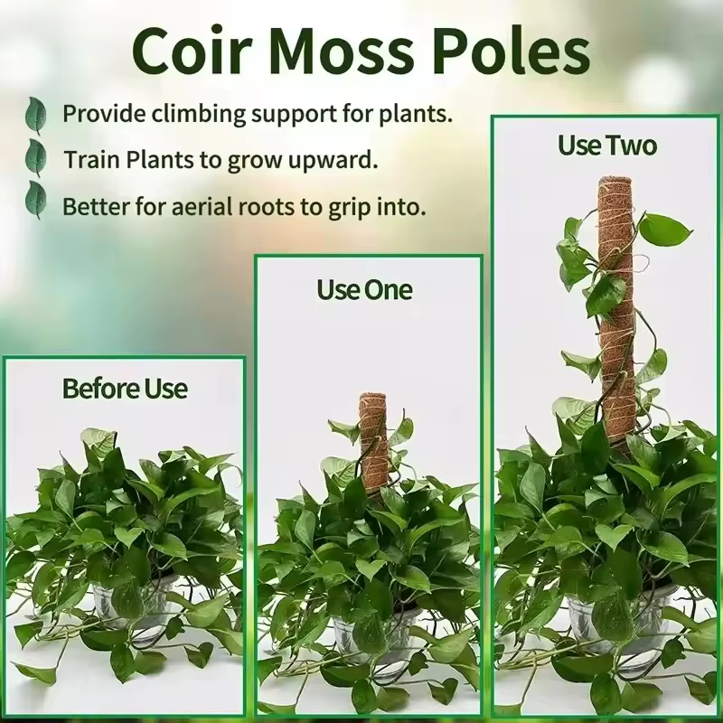 Bendable Plants Climbing Support Plant Moss Coir Pole Bottom