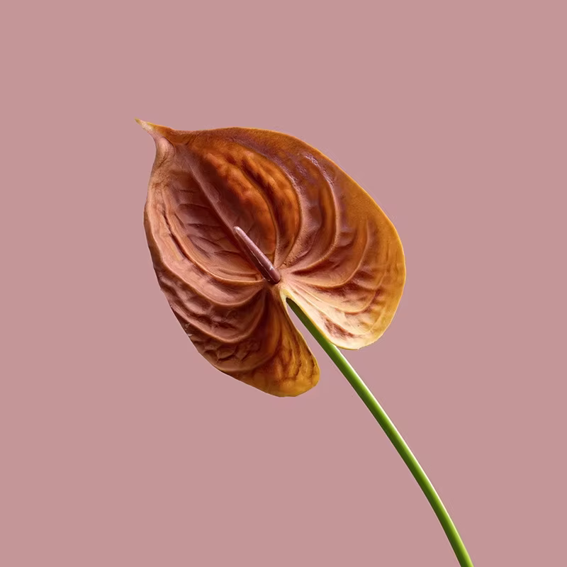 Bouquet de fleurs artificielles en PU Anthurium