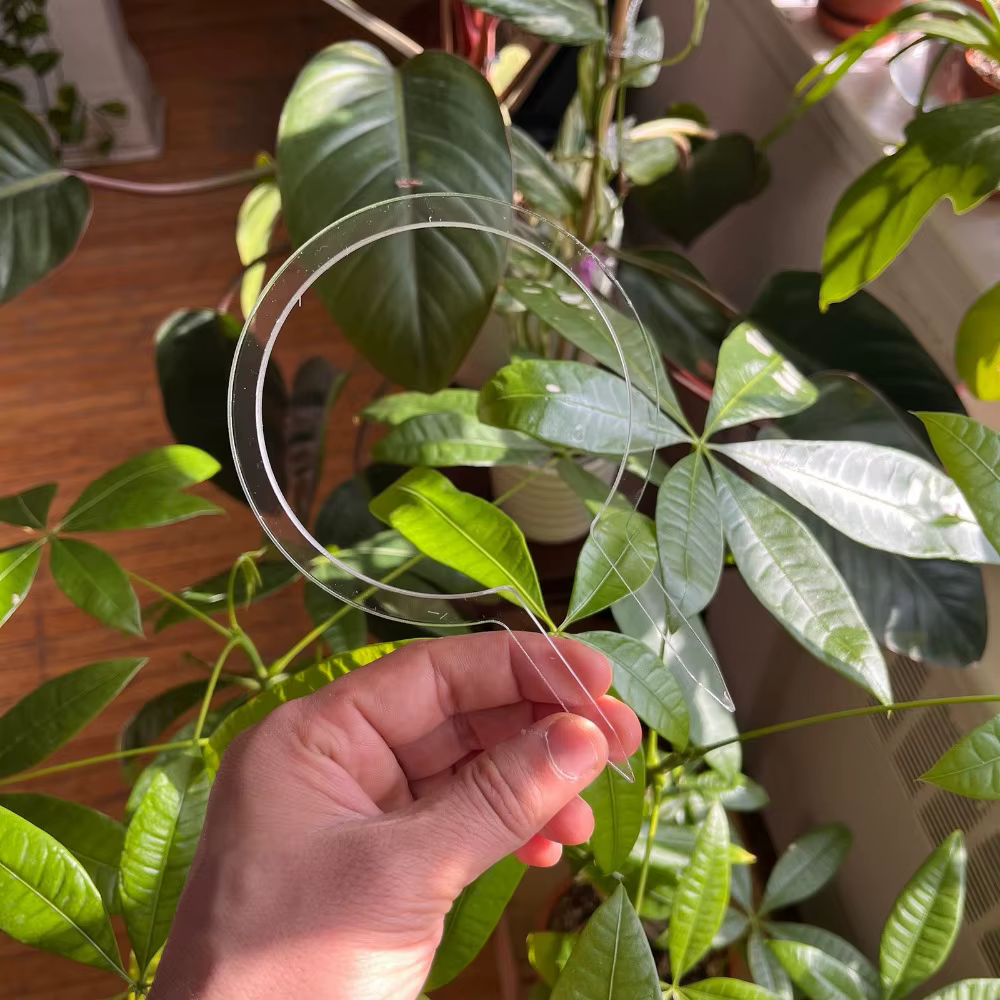 1 pièces petite plante transparente treillis en plastique
