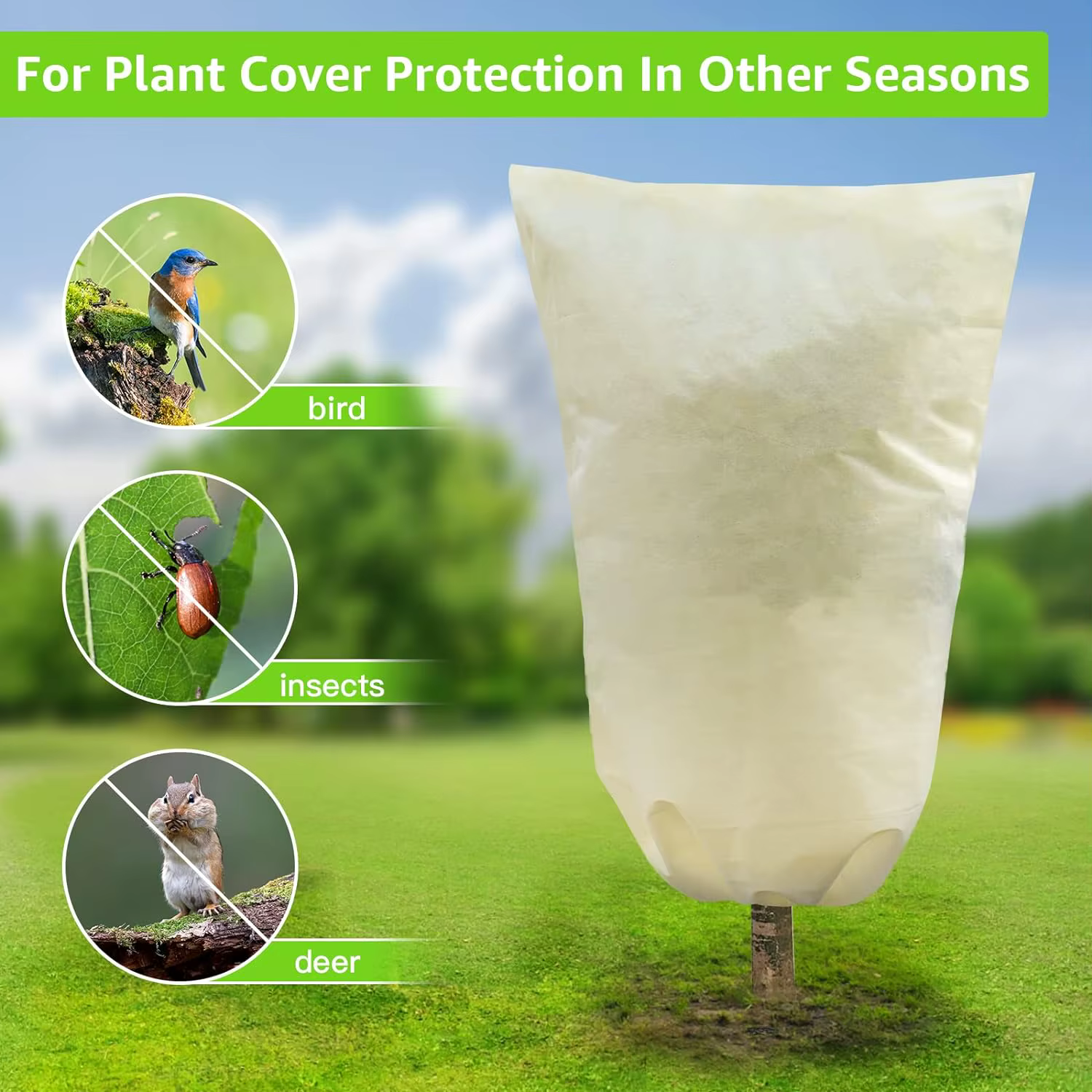 Protection contre le gel de couverture de plante