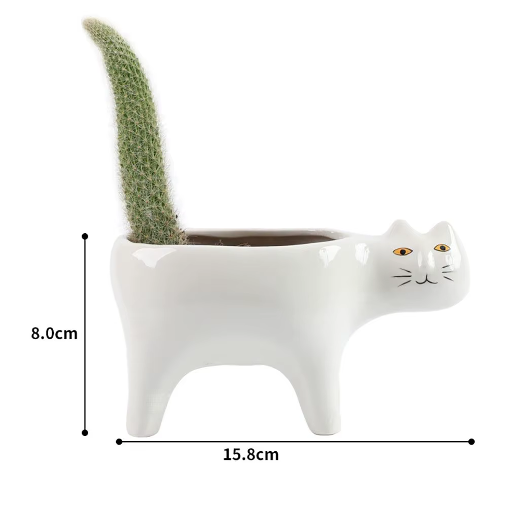 Pot de balcon en Pot pour chat succulent