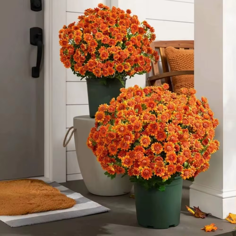 Bouquet de marguerites artificielles dégradées haute fidélité