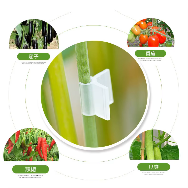 Clips de greffage de plantes