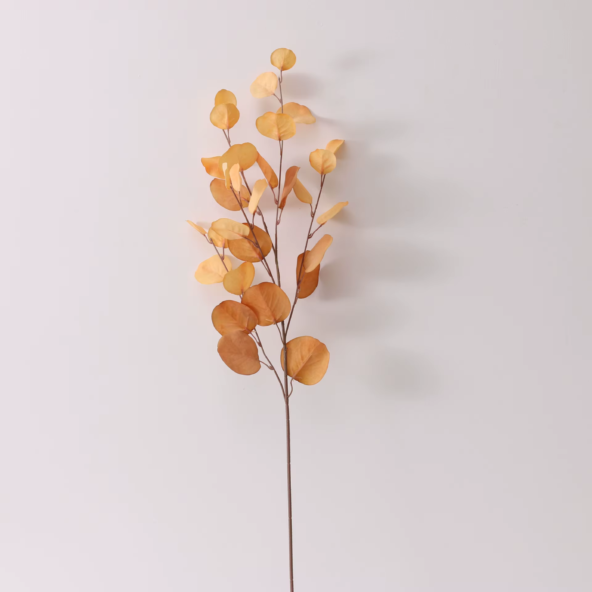 Simulation de feuille de pomme nordique