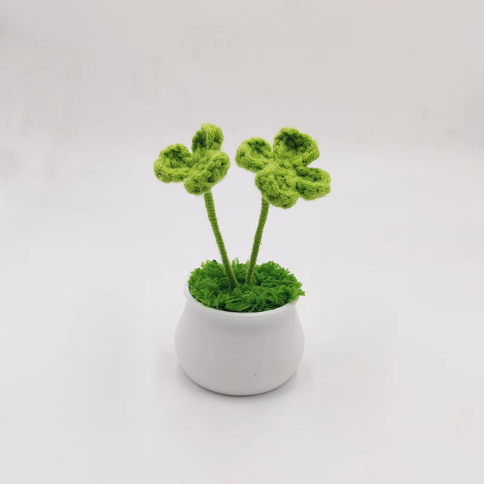 Plante en pot Everver Four scalp