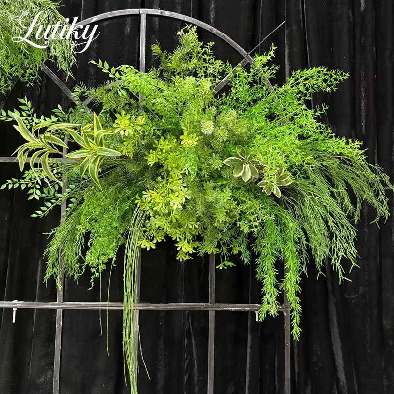 Série de plantes vertes d'extérieur