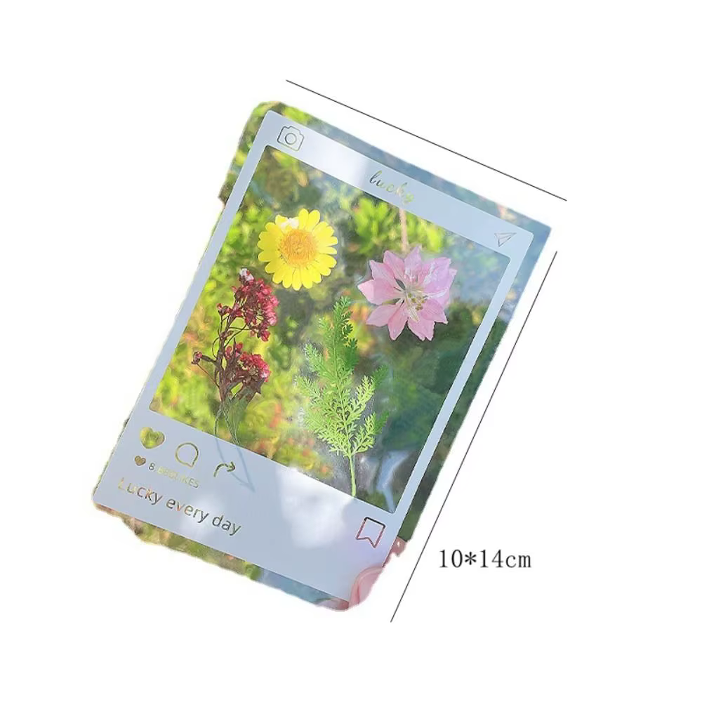 Marque-pages de fleurs séchées, matériaux de bricolage, autocollants de fleurs séchées en PET pressées, marque-page de Page de fleurs d'herbier faites à la main