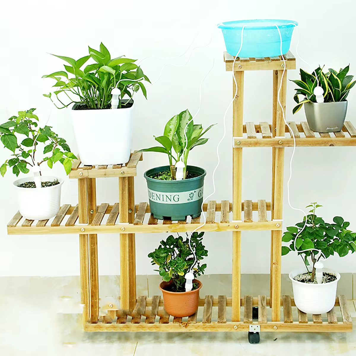 Plantes arrosoir auto-arrosage goutte-à-goutte automatique racine goutteur d'eau jardin fleur succulente bonsaï en pot dispositif d'arrosage