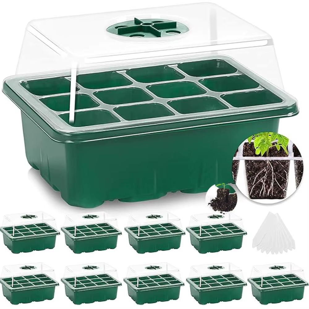 Kit de lancement de plantes de plateau