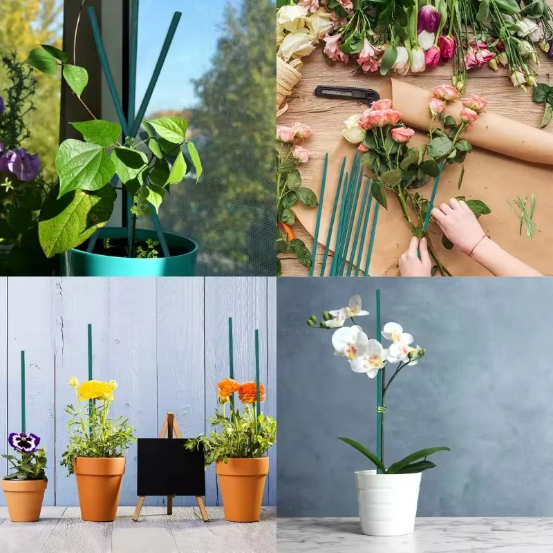 Bâtons de soutien pour plantes