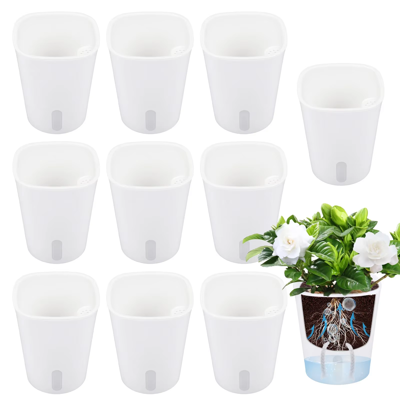 Lot de 10 pots de fleurs auto-arrosants