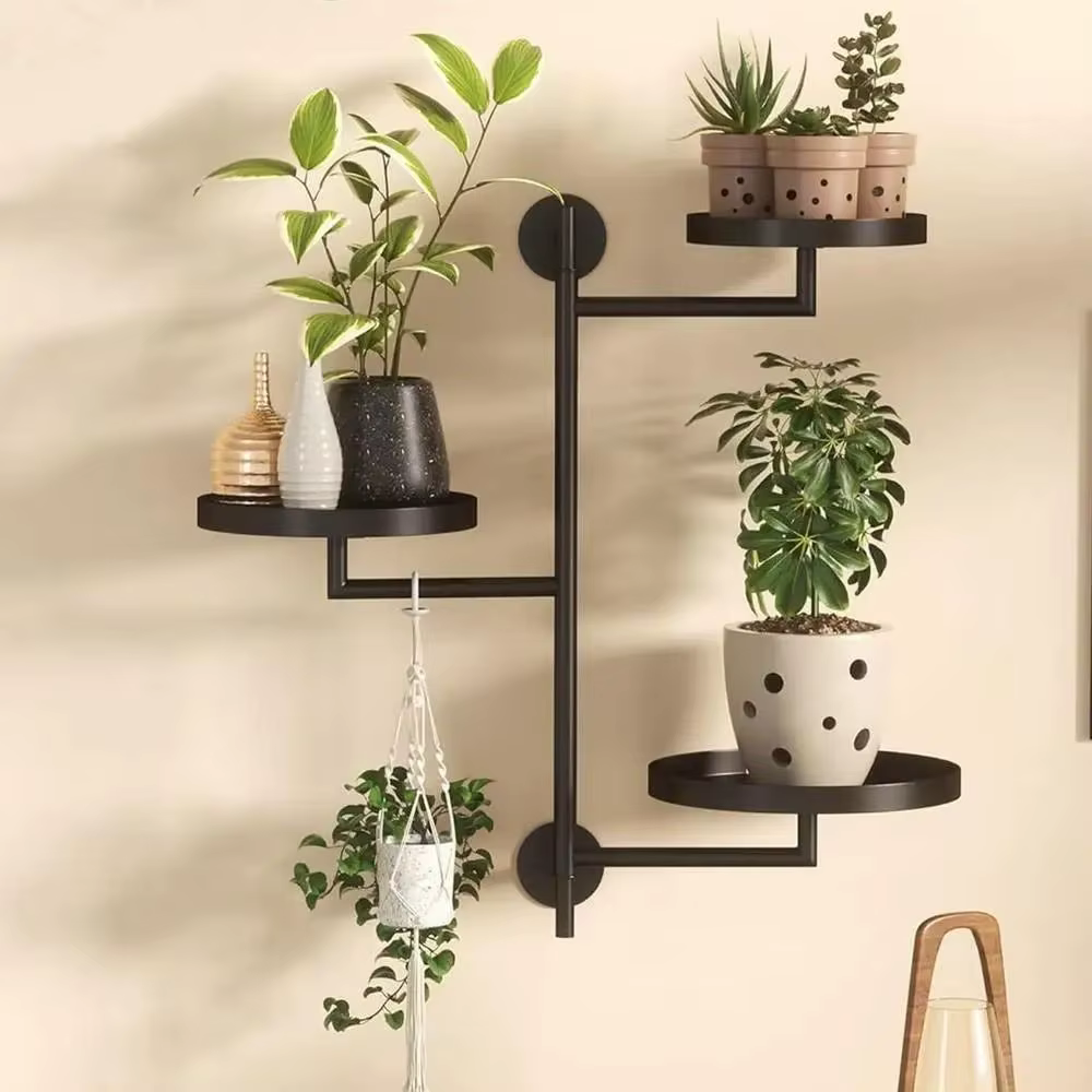 Support de plante de fenêtre rotatif en pot de plante verte