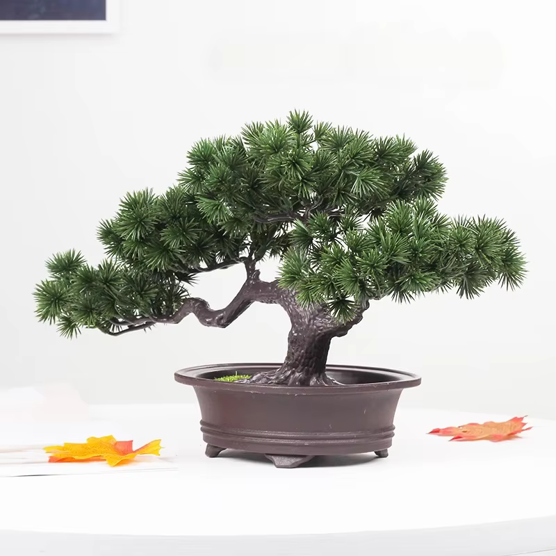Plantes artificielles enrichies bonsaï