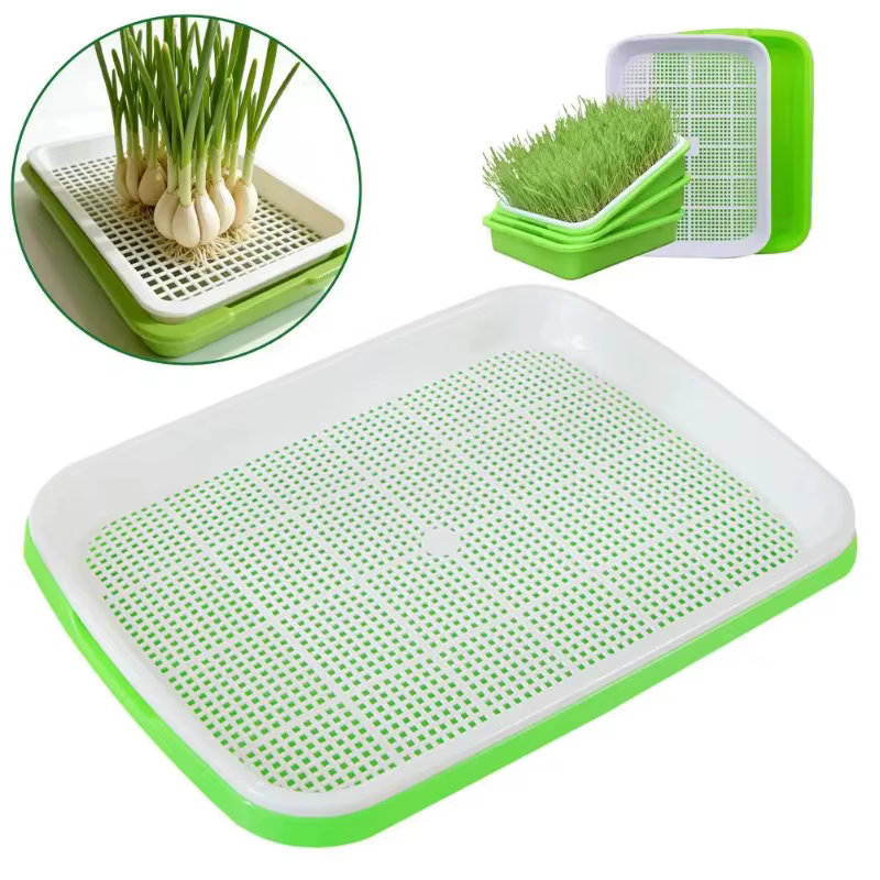 Bac de germination pour semis sans terre