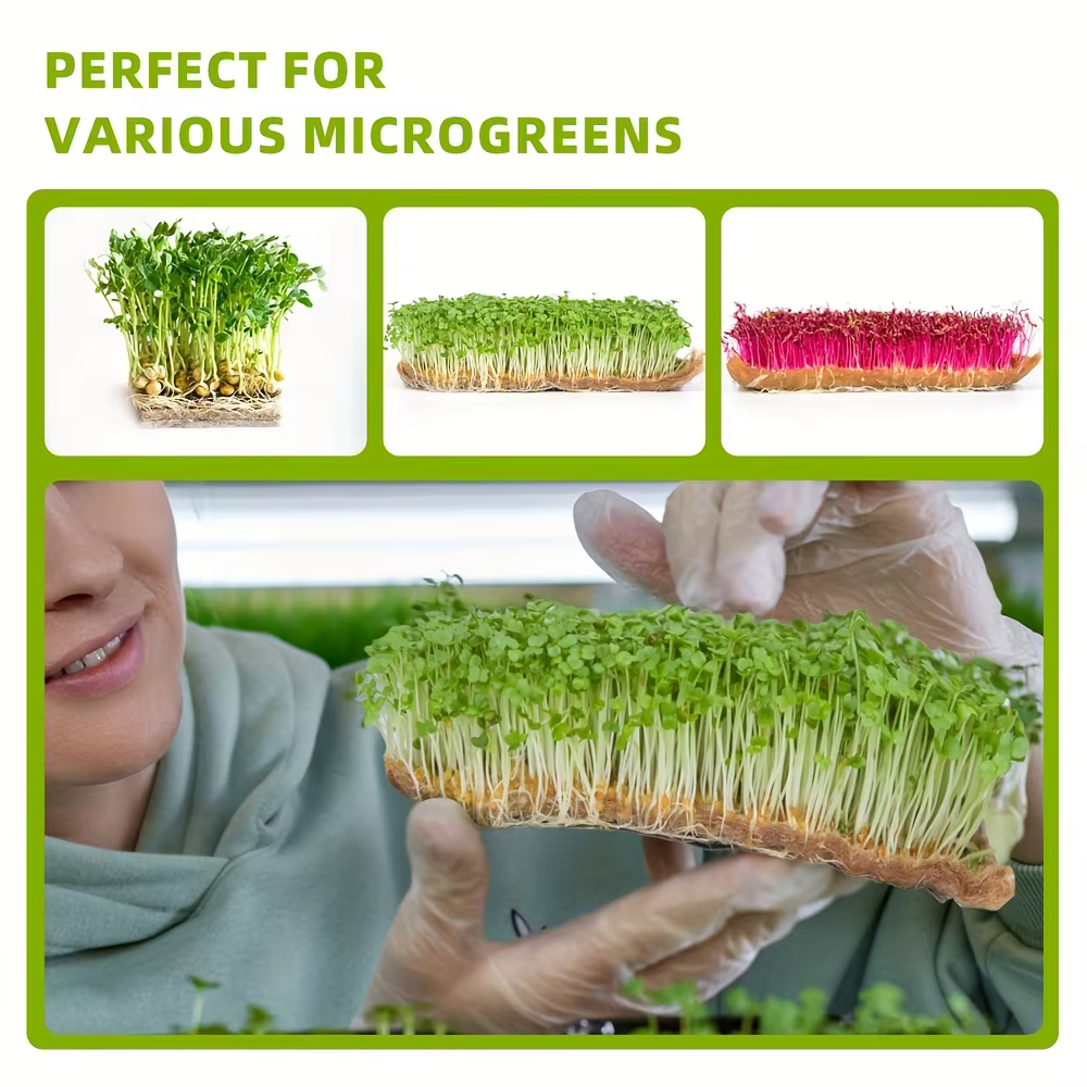 Tapis de propagation de plantes en tissu feutré