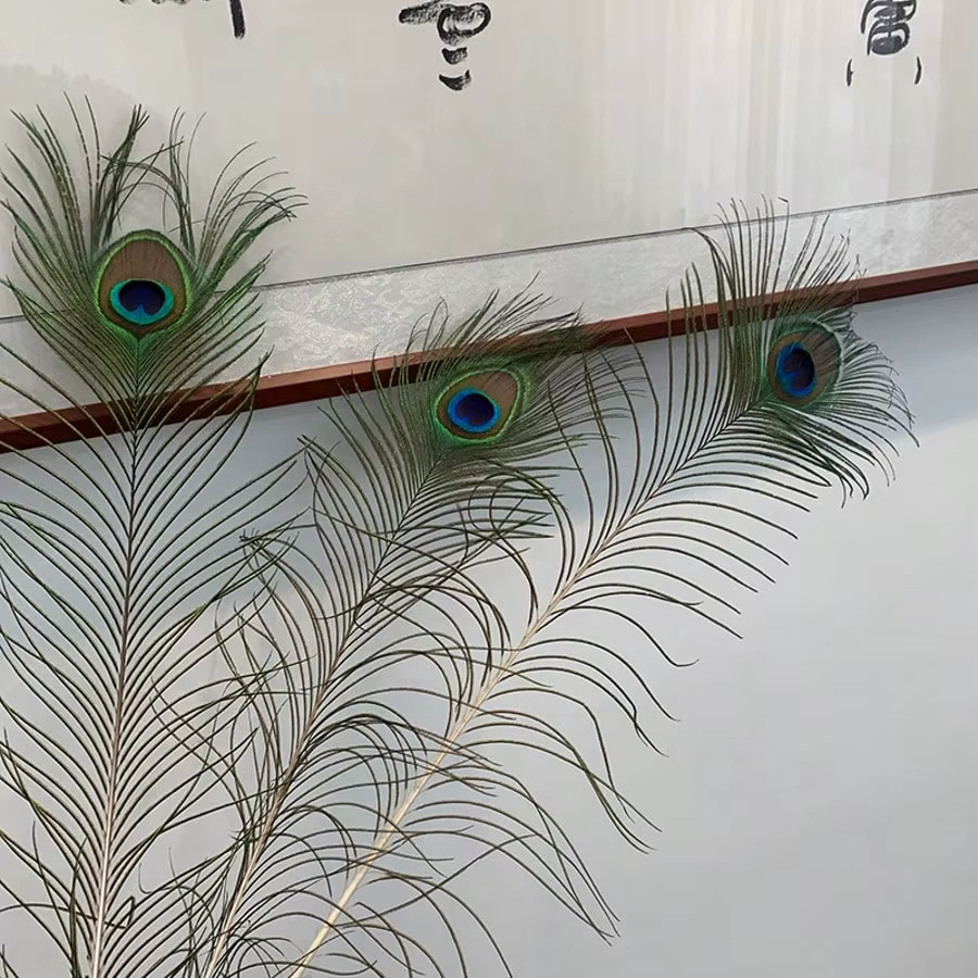 Plumes de paon naturelles 25-30cm