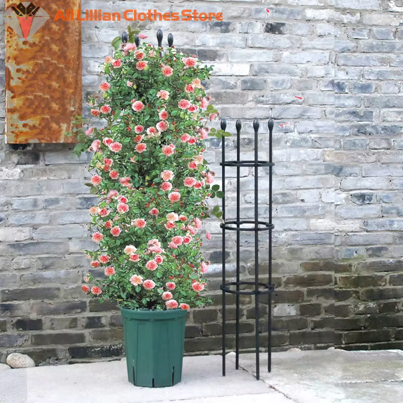 Cages de Support pour Plantes Grimpantes