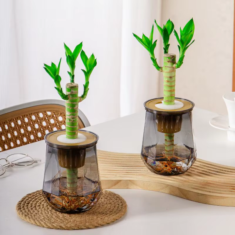 Mini Pot de fleur à arrosage automatique