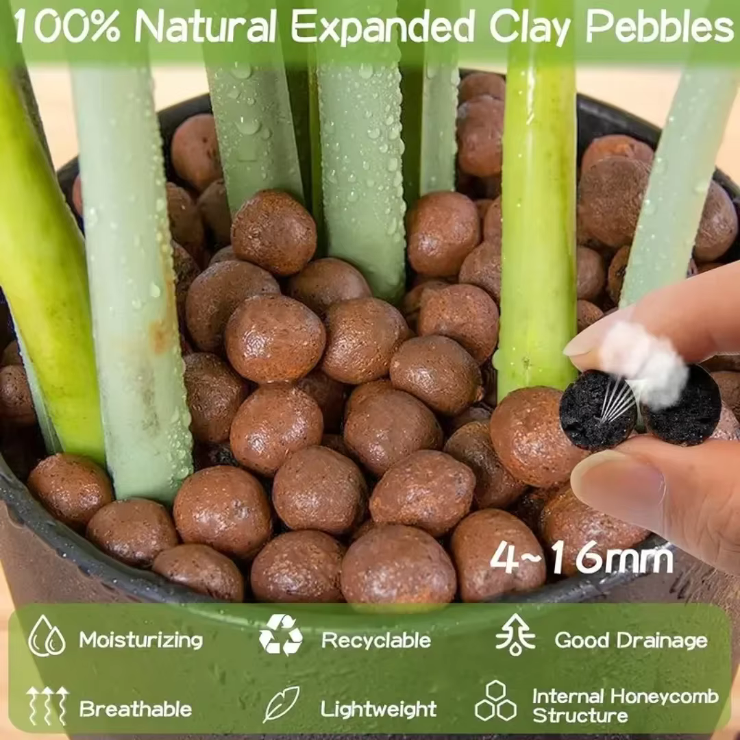 1LB Galets d'argile hydroponiques réutilisables