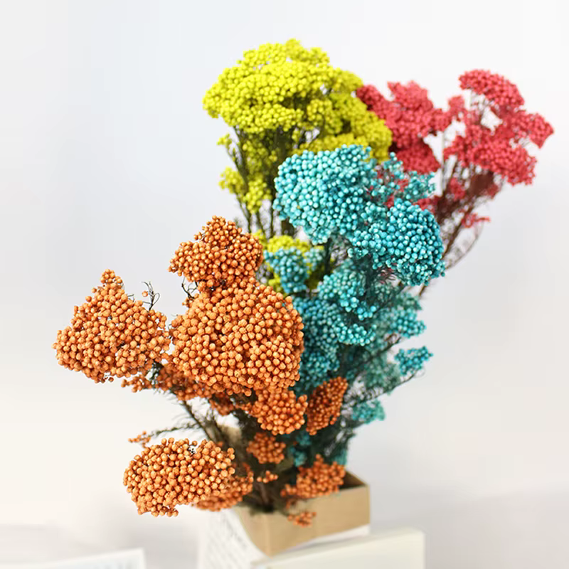 Fleur fraîche conservée 50g