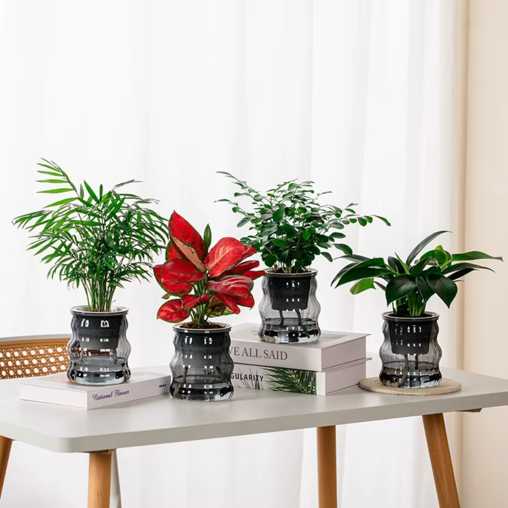 Pot de plantes hydroponiques auto-arrosage créatif