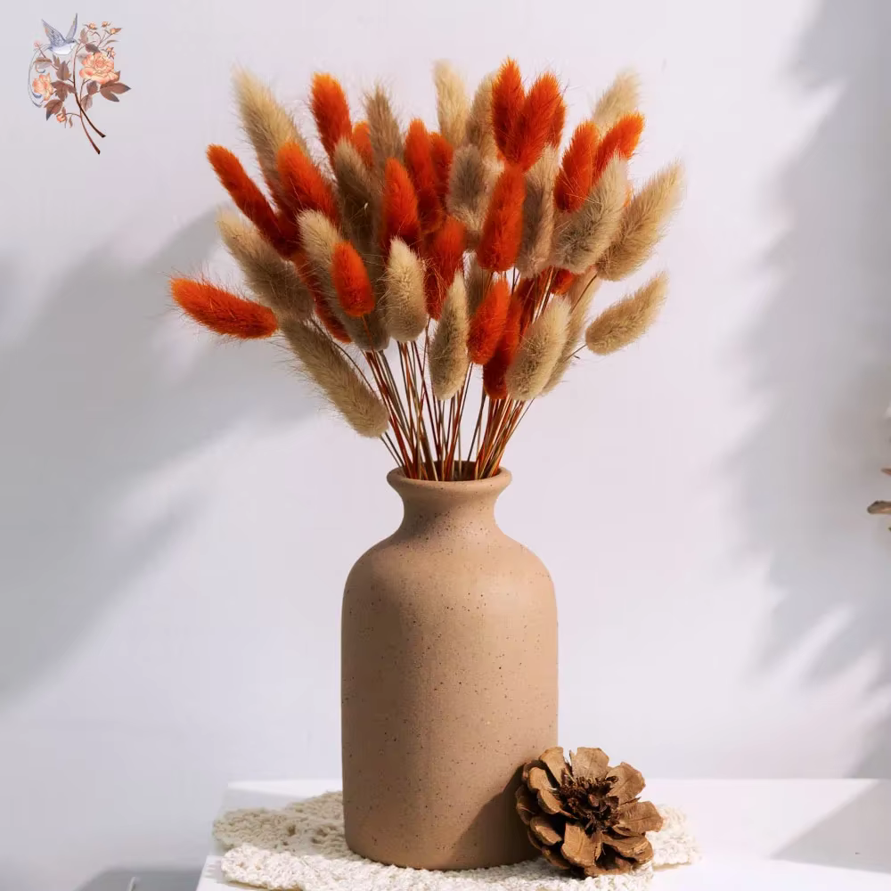 70 pièces de fleurs séchées naturelles mélangées : Herbe de queue de lapin, Pampas, Lagurus. Bouquet floral d'automne pour décoration de mariage, de maison et accessoires photo.