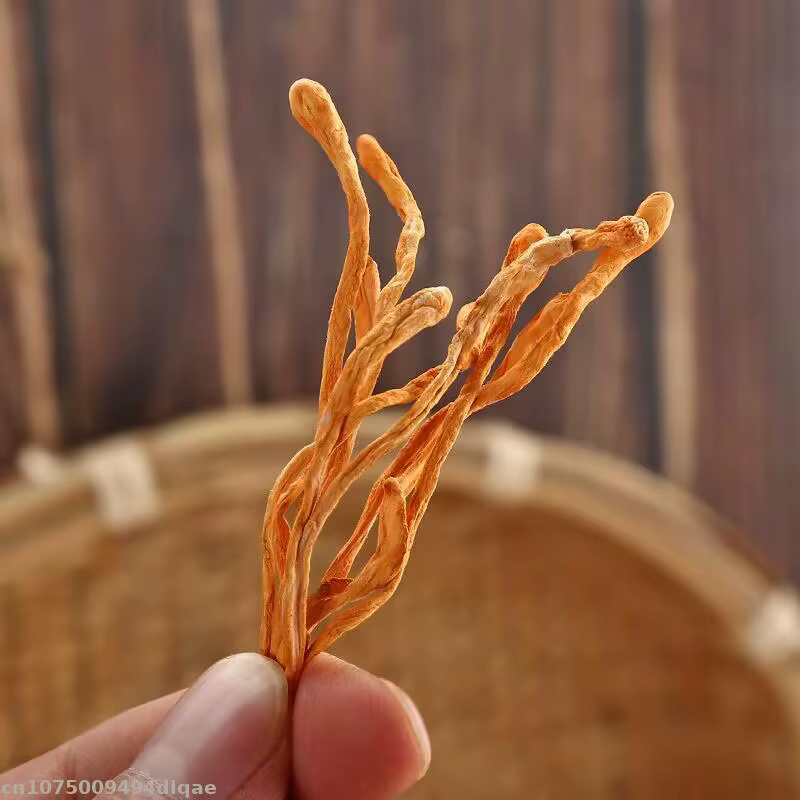 Fleur de Cordyceps séchée 100% naturelle