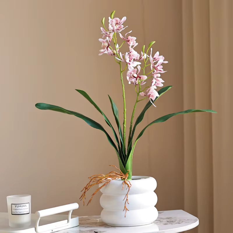 Orchidée papillon au toucher de la main avec feuilles