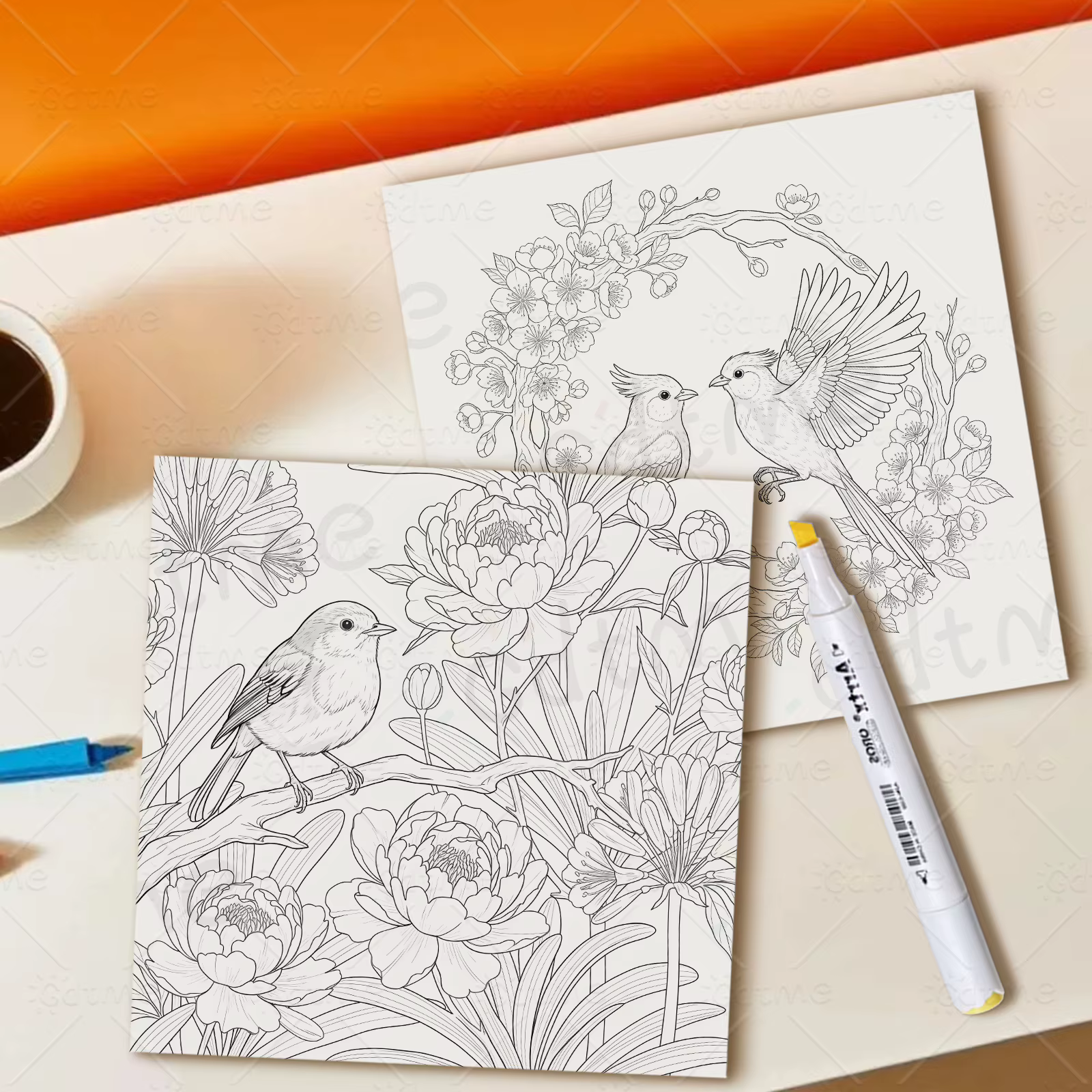 Livre de coloriage oiseaux et fleurs pour adultes et adolescents, avec des activités quotidiennes mignonnes et confortables pour la relaxation (Coloriage Cozy Spaces)