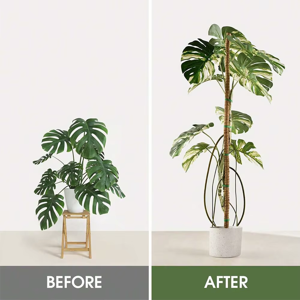 Poteau en mousse pour plantes