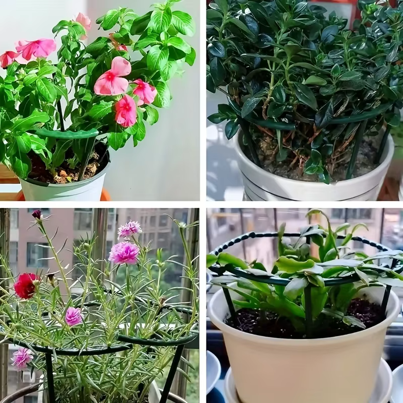Support de plante en plastique pour serre