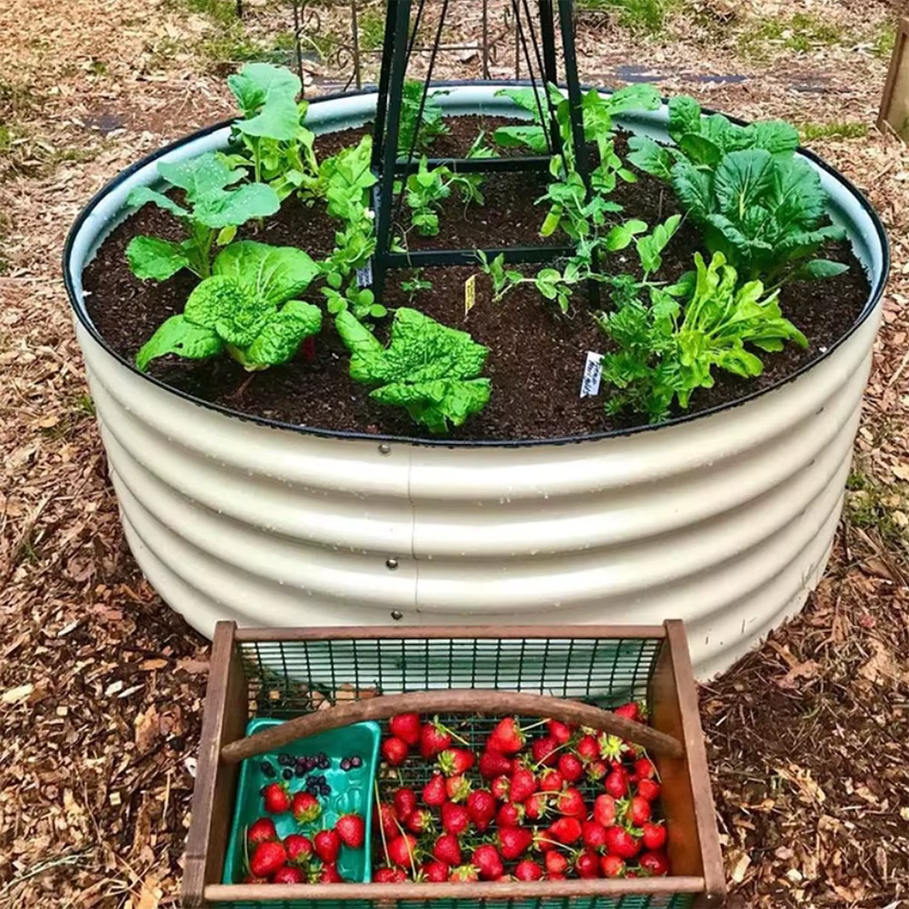 Boîte de jardinière ronde en métal pour fleurs