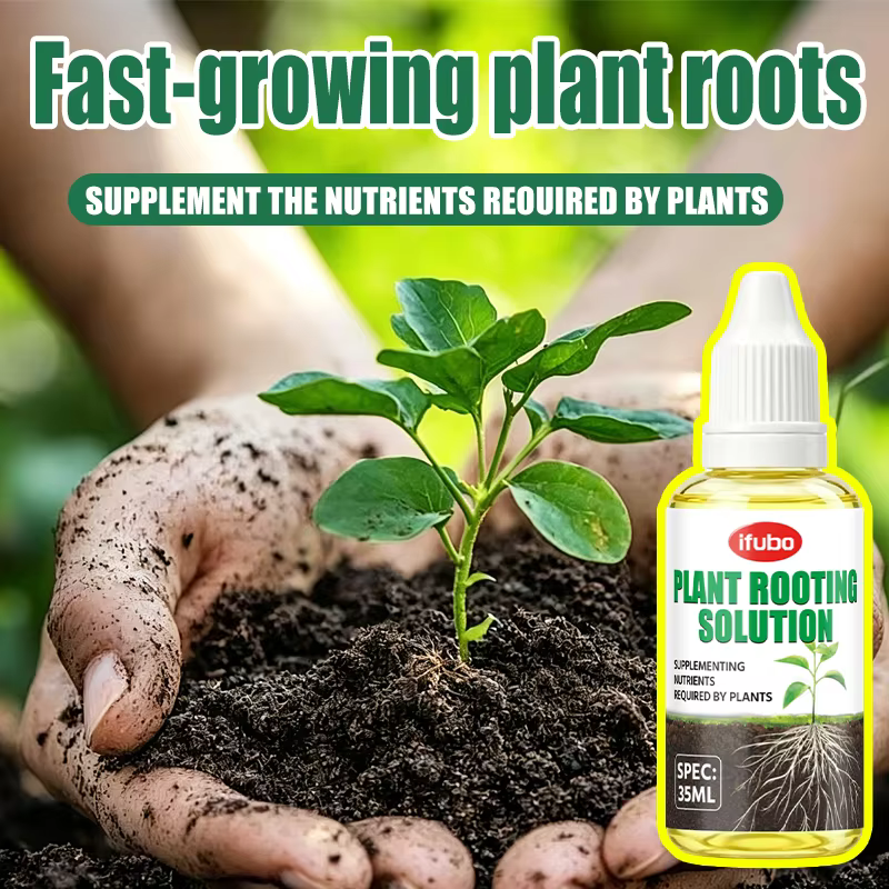 Solution nutritive pour l'enracinement des plantes
