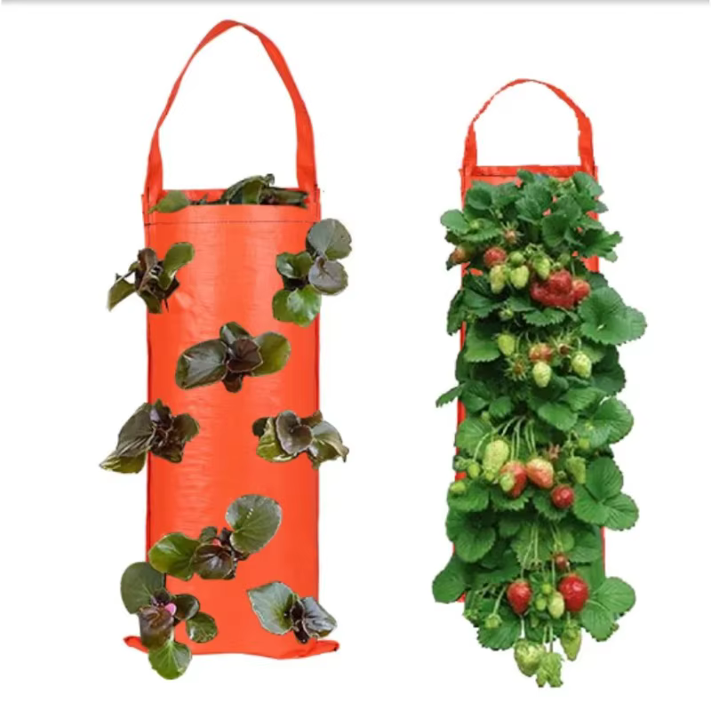 Nouveau sac de culture suspendu à 6 trous pour fraises