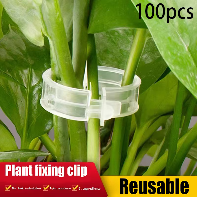 100 pinces de fixation en plastique sécurisées pour plantes